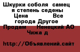 Шкурки соболя (самец) 1-я степень седены › Цена ­ 12 000 - Все города Другое » Продам   . Ненецкий АО,Чижа д.